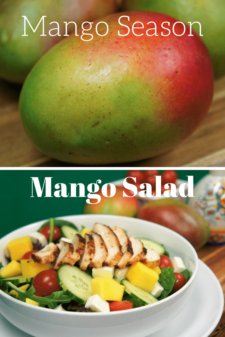Mango season in Miami is truly a treat, they’re everywhere! What to do with all those delicious mangos? Make a grilled chicken mango salad, add fresh mozzarella, cucumbers, tomatoes and top with a balsamic vinaigrette for a wonderful summer salad. #grilledchickenmangosalad #grilledchicken #mangos #summersalad #salads #chicken