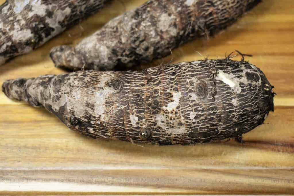 A malanga on a wood cutting board