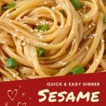 Sesame Noodles PIN