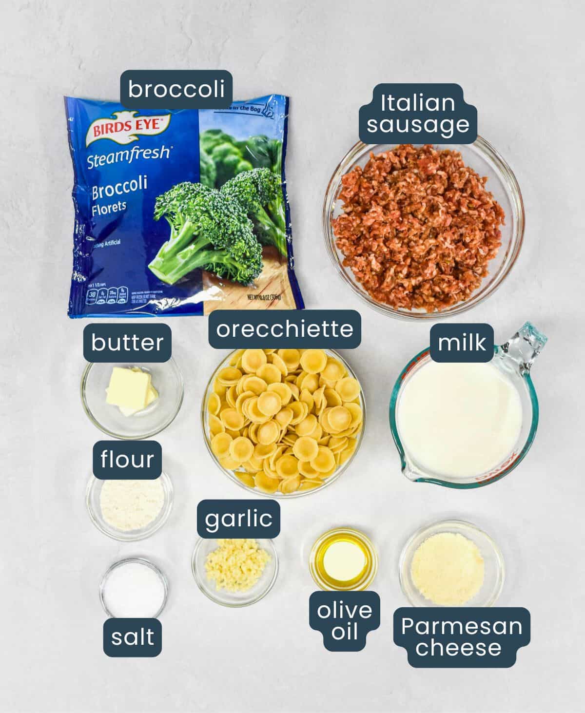 Ingredients laid out on a light surface with labels for broccoli, Italian sausage, orecchiette, milk, garlic, flour, butter, olive oil, Parmesan cheese, and salt.