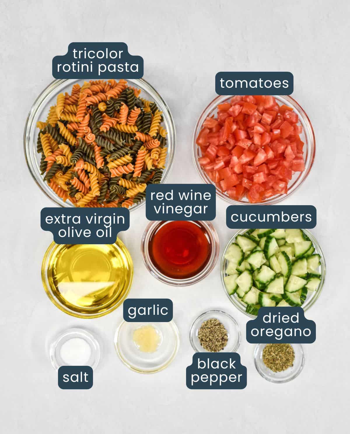 Ingredients for garden pasta salad, including tricolor rotini, tomatoes, cucumber, olive oil, red wine vinegar, garlic, oregano, salt, and black pepper, with each one labeled.