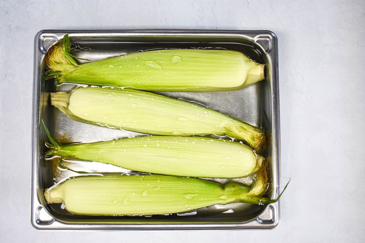 Four corn cobs in their husk in a pan filled with water.