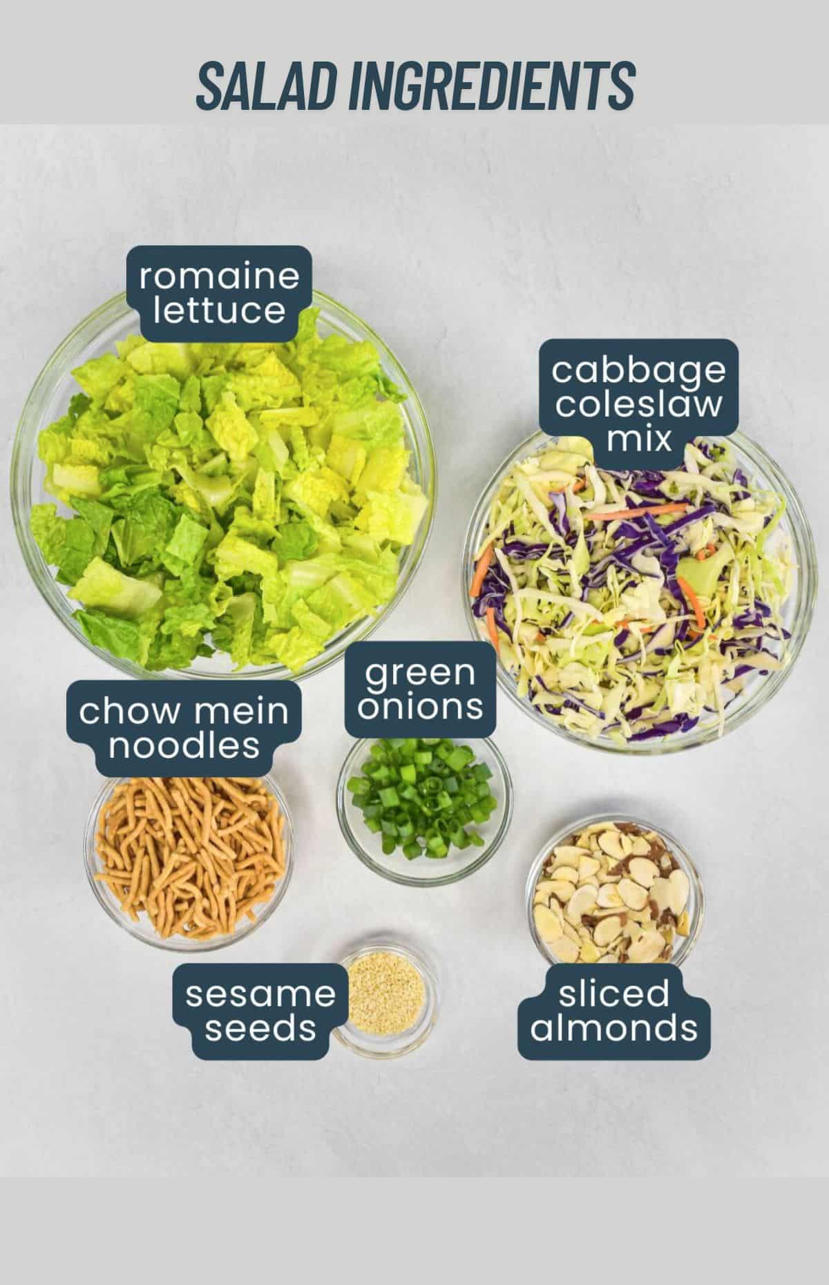 Labeled salad ingredients including romaine lettuce, coleslaw mix, chow mein noodles, and sliced almonds.