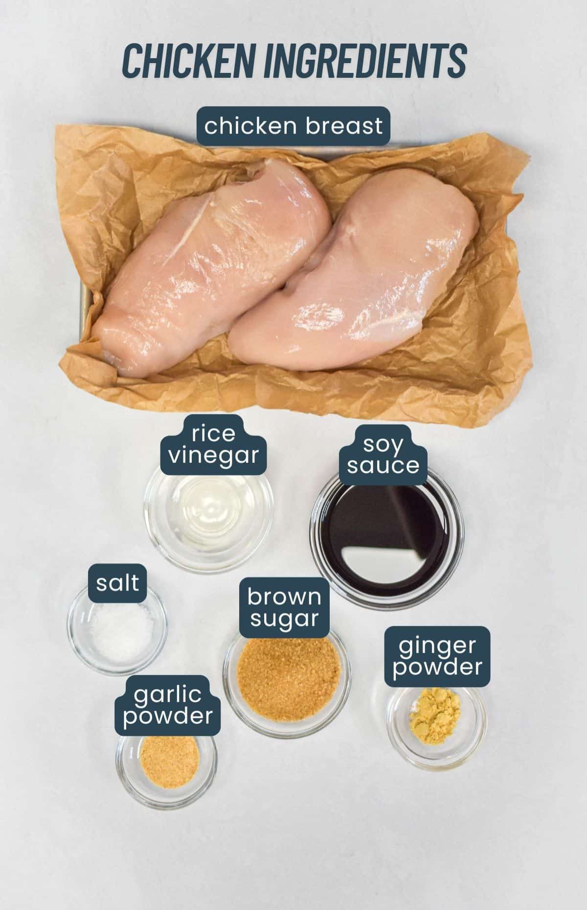 Labeled ingredients for chicken marinade, including raw chicken breasts, soy sauce, garlic powder, and brown sugar.