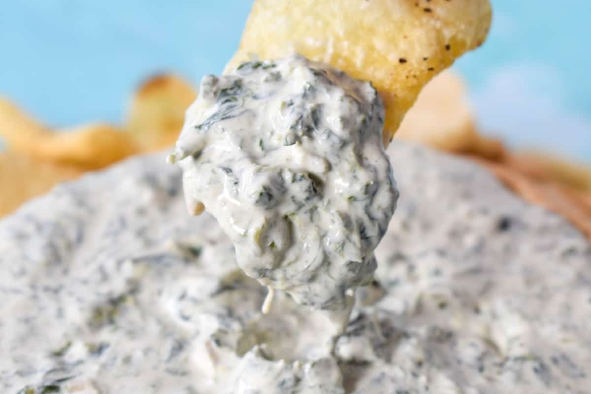 A close up of a chip holding up a scoop of the spinach dip.