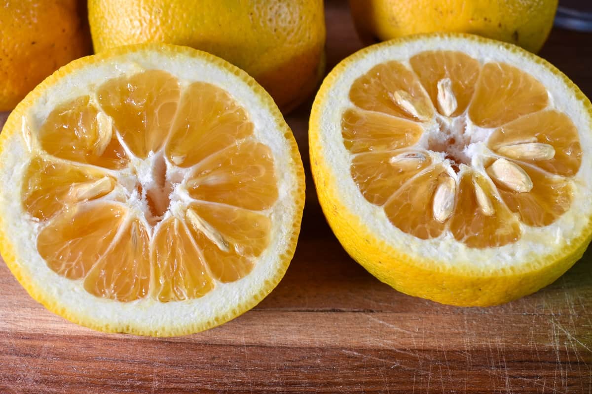 A sour orange cut in half.