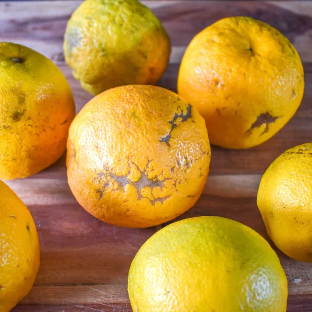 An image of sour oranges, set on a wood cutting board.