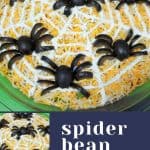 Spider Bean Dip Pin