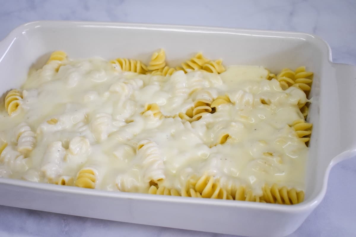 A layer of pasta covered with white sauce in a white casserole dish.