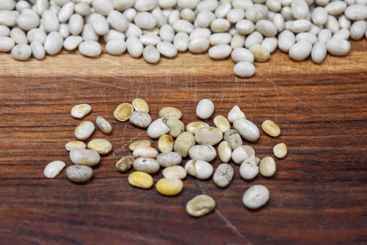 Dry navy beans being sorted on a wood cutting board.