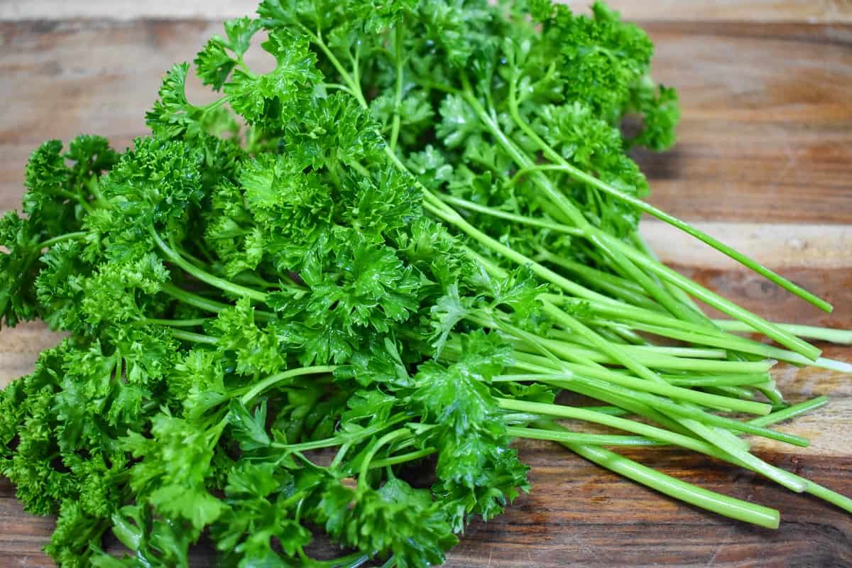 A large bunch of curly parsley displayed on a wood cutting board.