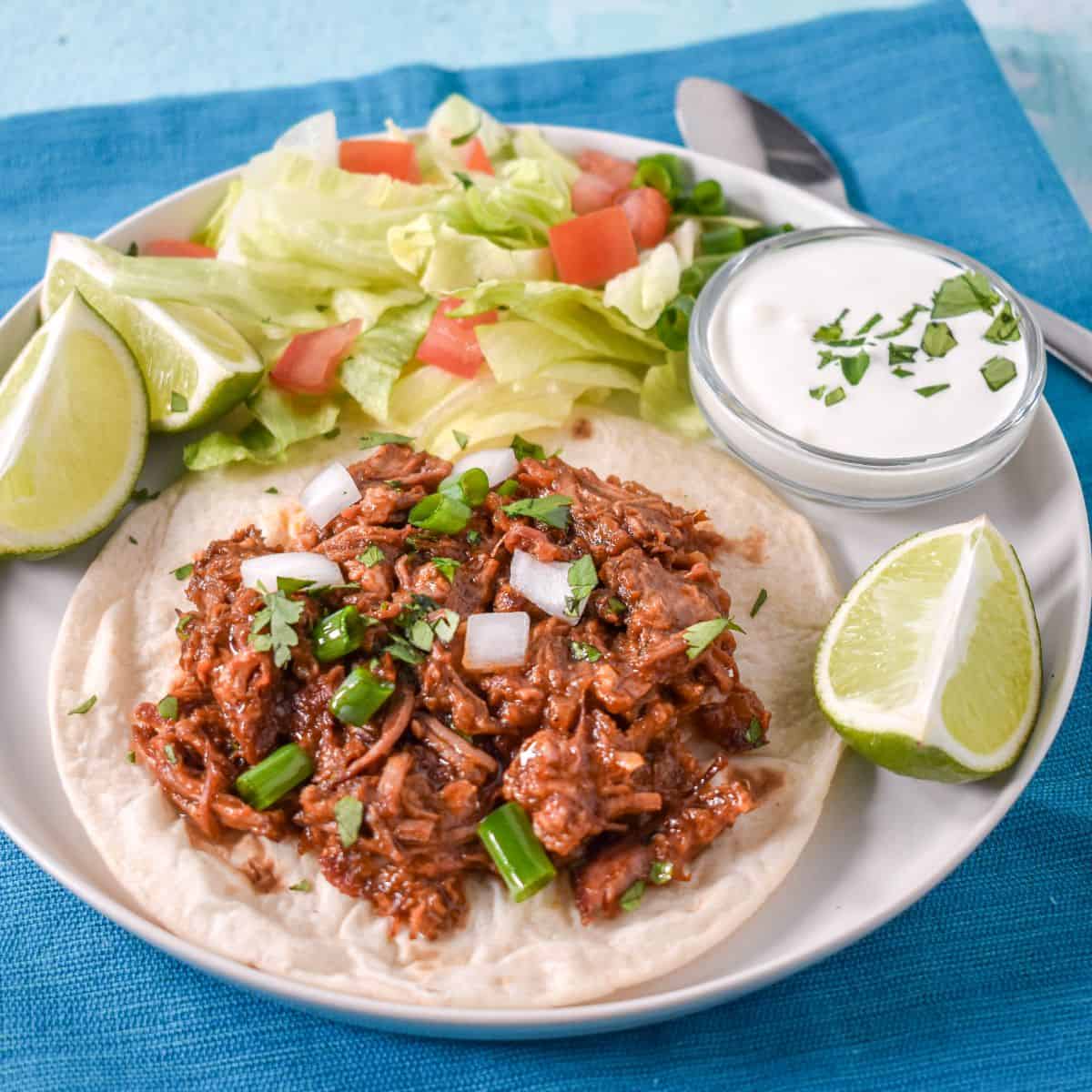 Shredded beef served on a soft flour tortilla with lettuce, tomatoes, lime, sour cream, and green onions.