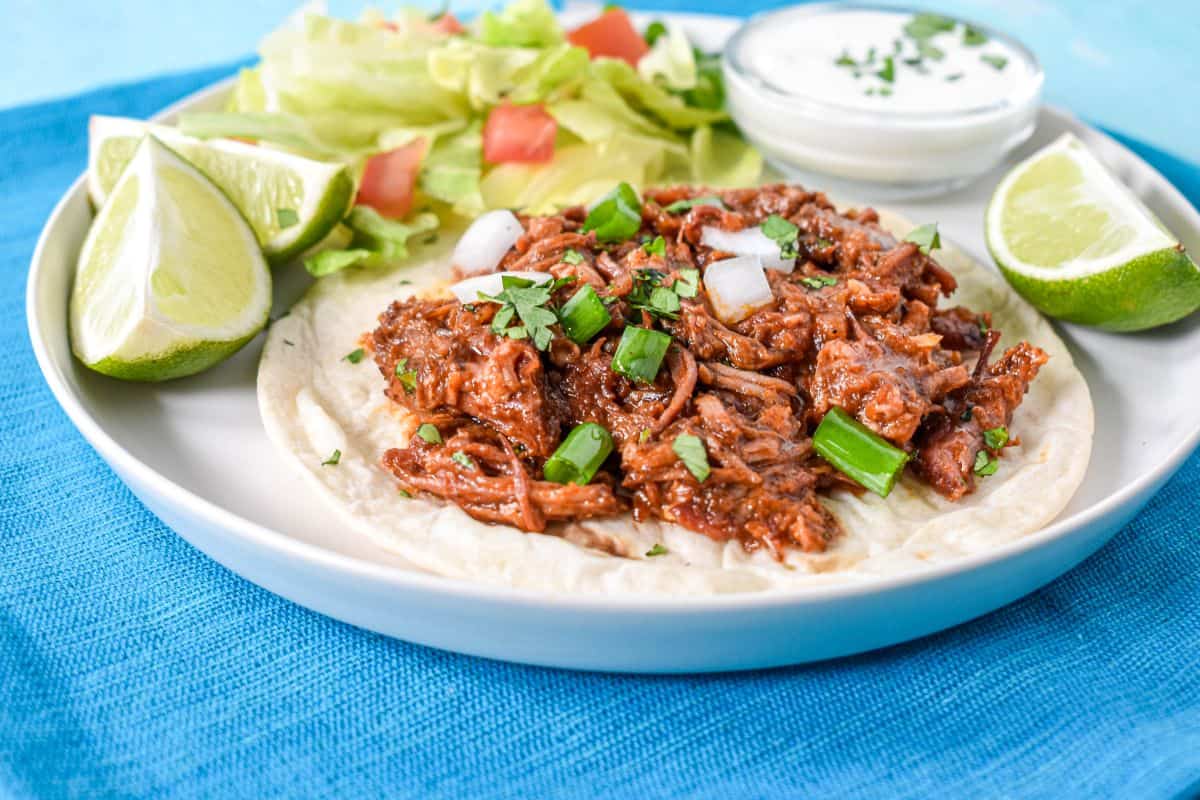 Shredded beef served on a soft flour tortilla with lettuce, tomatoes, lime, sour cream, and green onions.