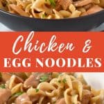 Chicken and Egg Noodles Pin