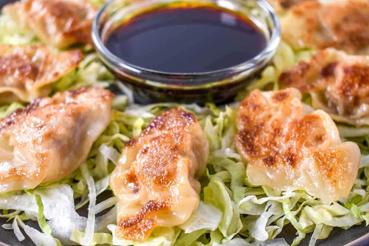 A close up image of the potstickers arranged on a bed of shredded lettuce with a small bowl of soy sauce in the middle.