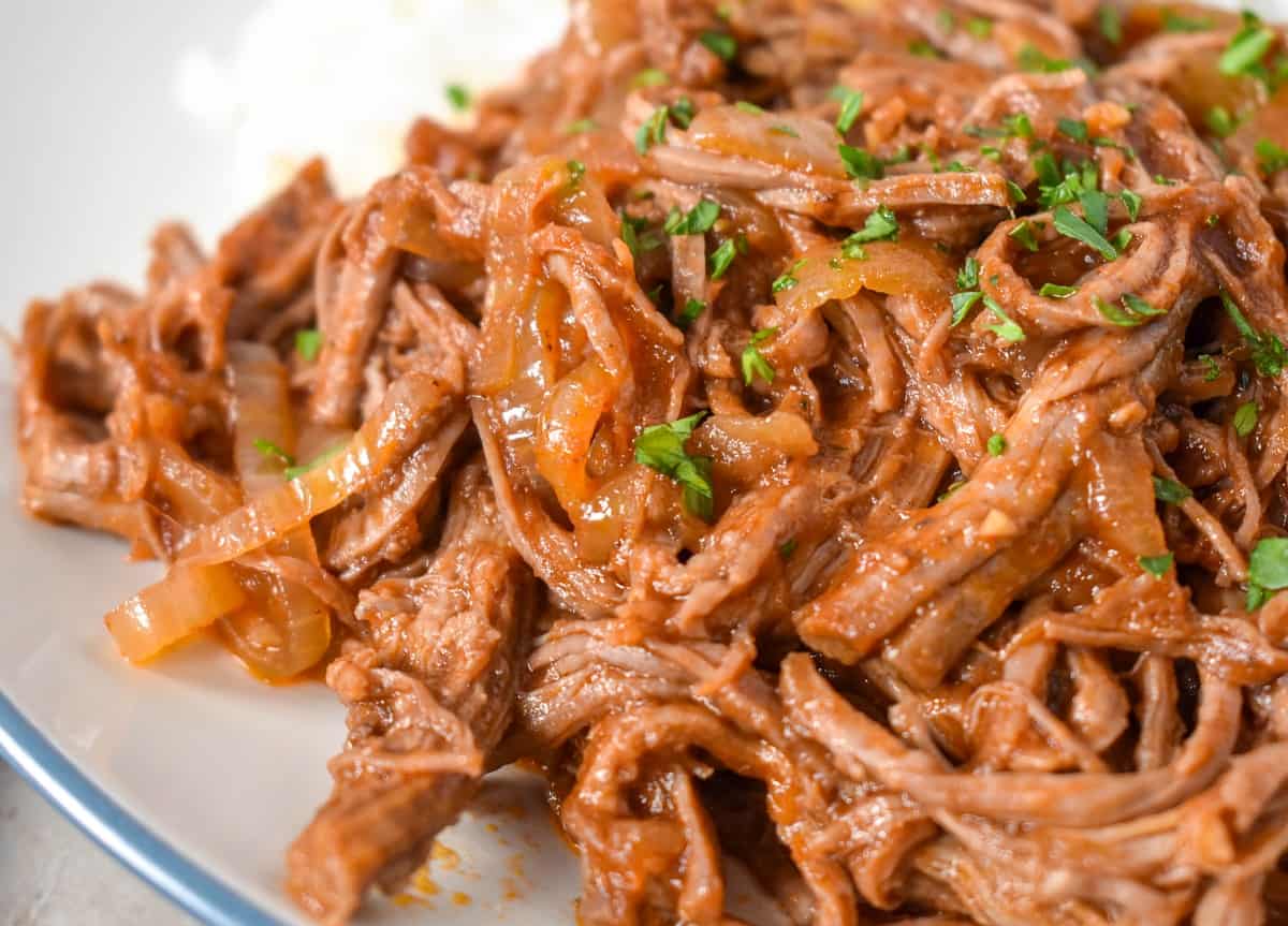 A close up of ropa vieja.