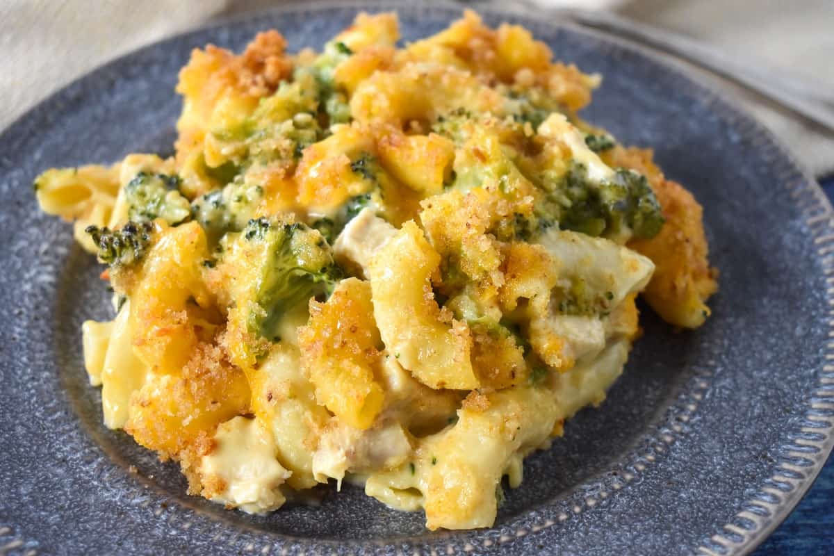 The chicken, broccoli and macaroni served on a gray plate.