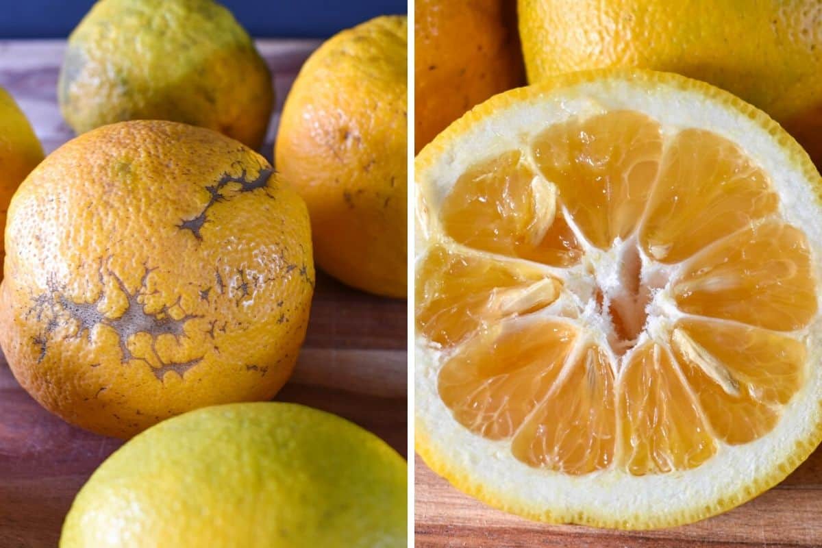 A whole sour orange and a one cut in half displayed on a wood cutting board.