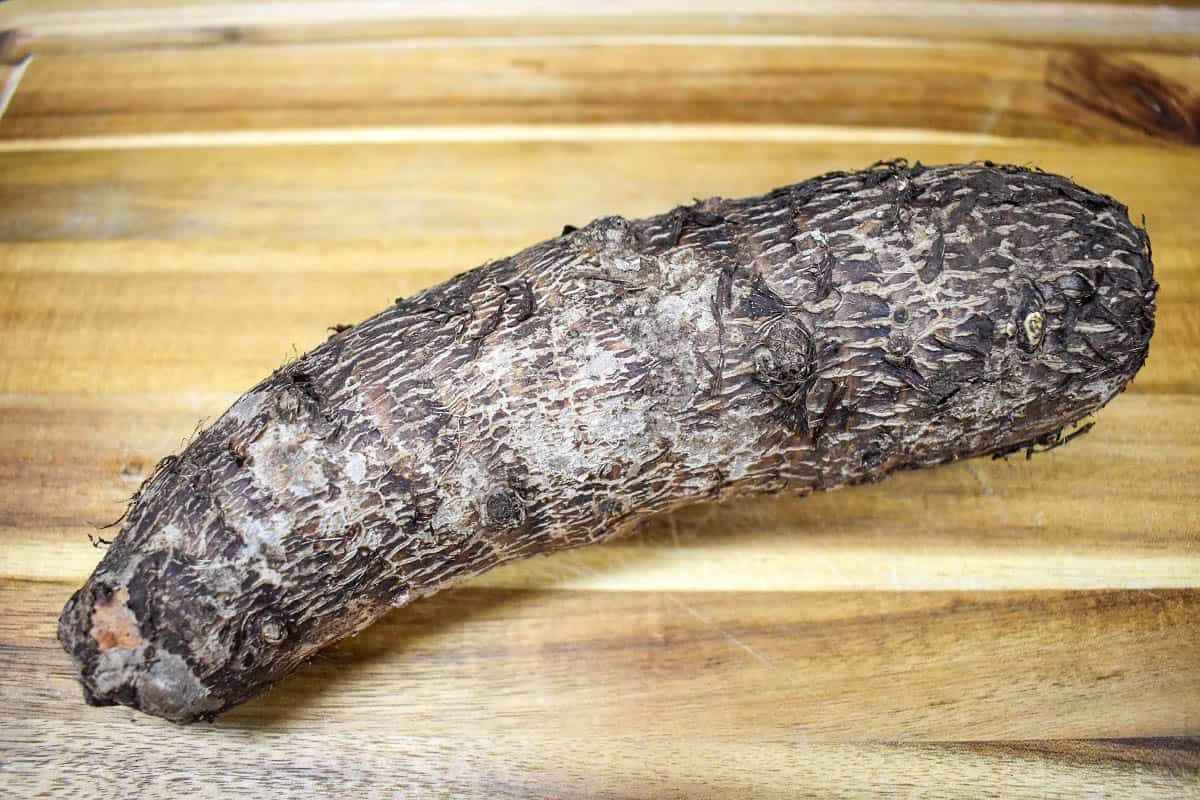 A large malanga on a wood cutting board.