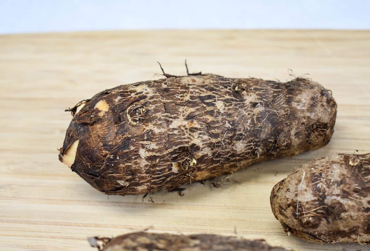 A close up image of a malanga on a wood cutting board.