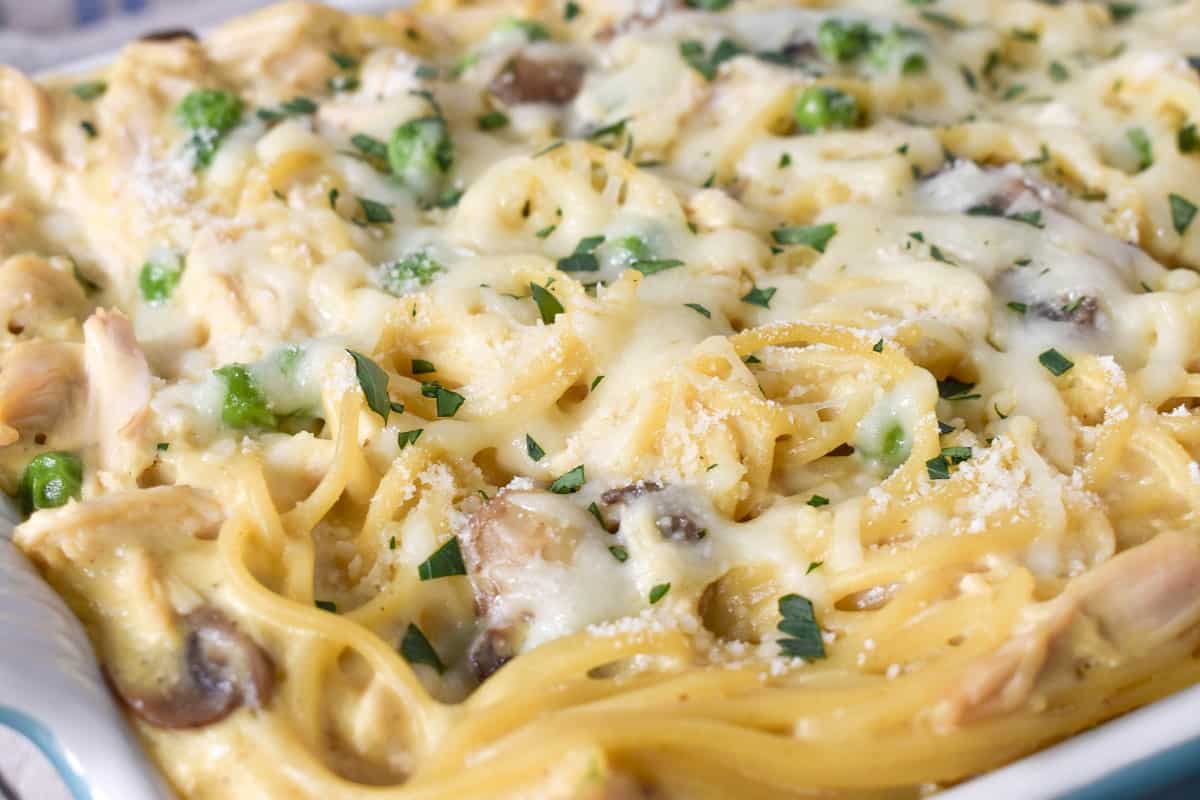 A close up image of the baked chicken tetrazzini.