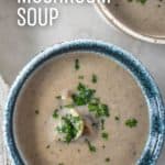 An image of the soup served in a bowl with a blue rim and part of a small bowl with the soup to the right. The title is in white letters to the top left side.