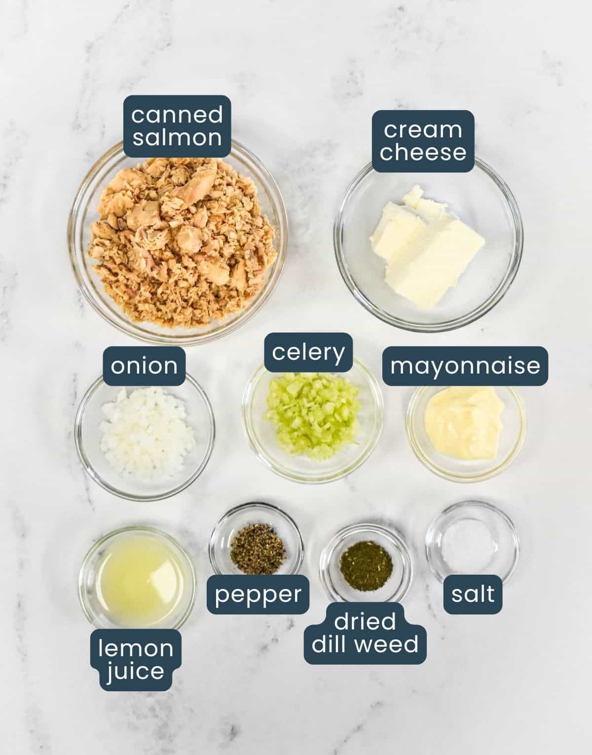 Ingredients for the recipe including salmon, cream cheese, mayonnaise, onion, celery, lemon juice, dill, pepper, and salt, with each one labeled.